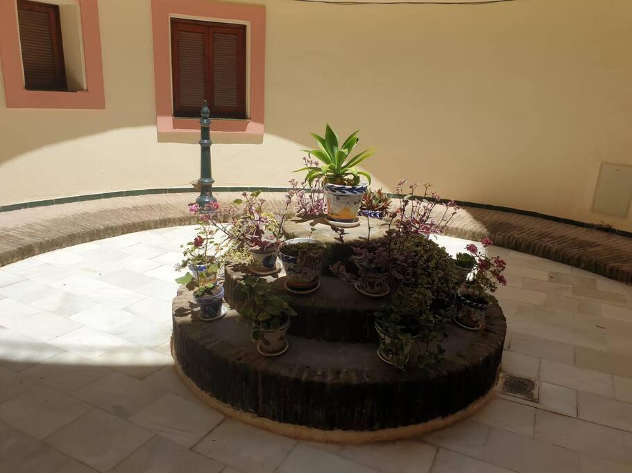 Espacioso Apartamento En De Dios, Alameda Appartement